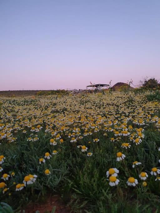 Namakwa Country Cottage Calvinia Esterno foto